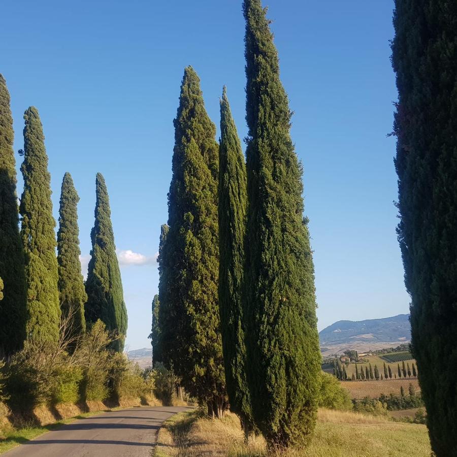 Dimora In San Quirico D'Orcia Apartment Екстериор снимка