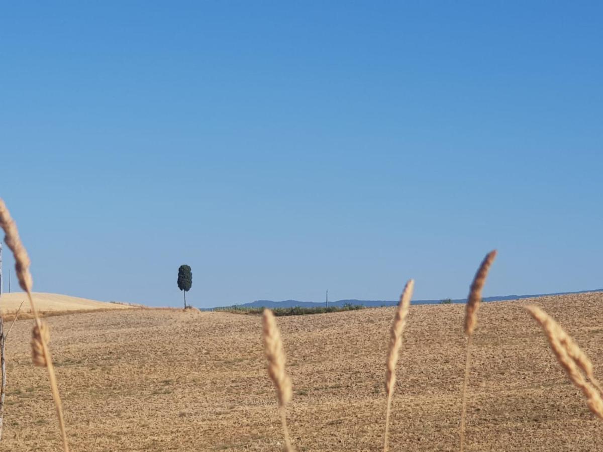 Dimora In San Quirico D'Orcia Apartment Екстериор снимка