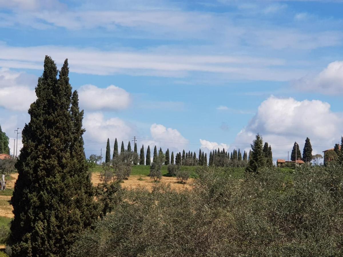 Dimora In San Quirico D'Orcia Apartment Екстериор снимка