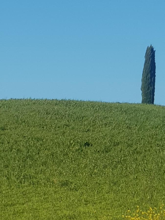 Dimora In San Quirico D'Orcia Apartment Екстериор снимка