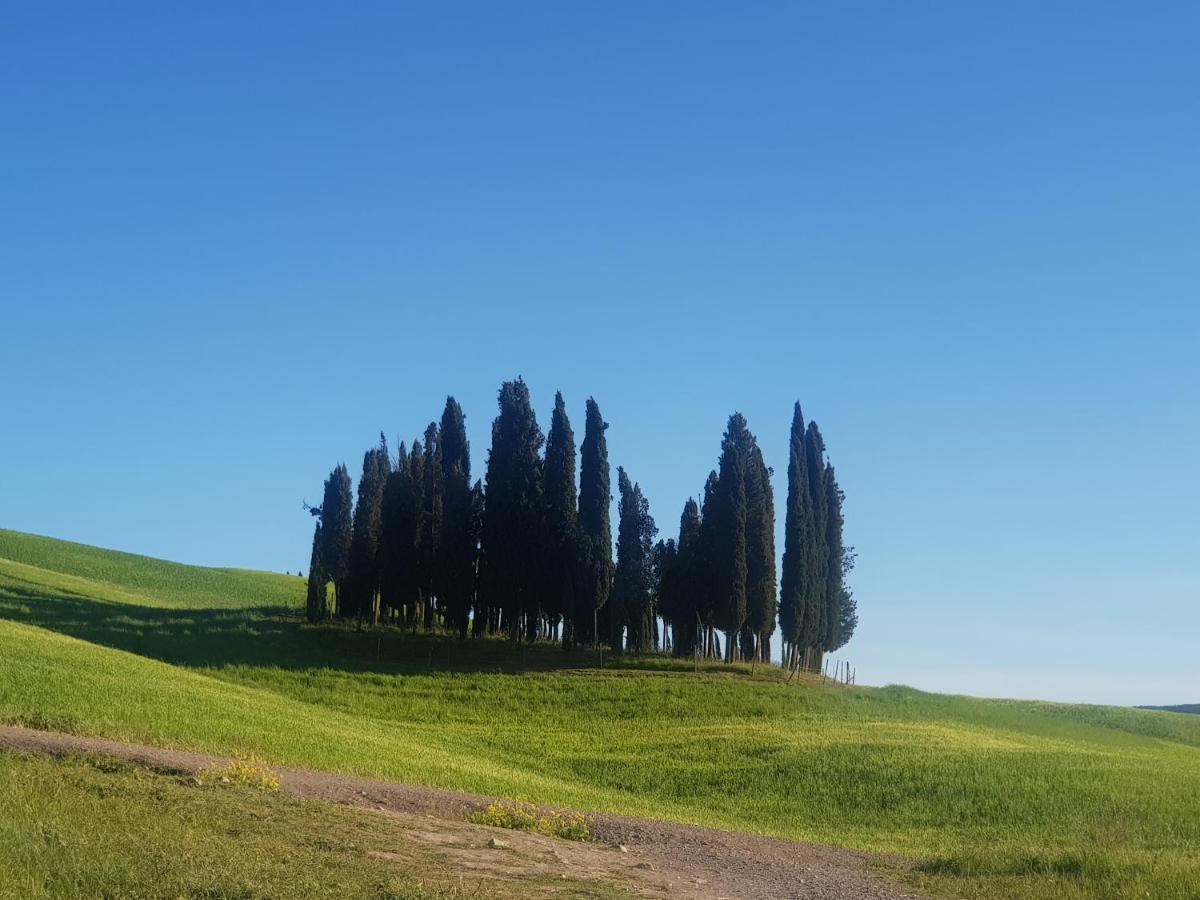 Dimora In San Quirico D'Orcia Apartment Екстериор снимка