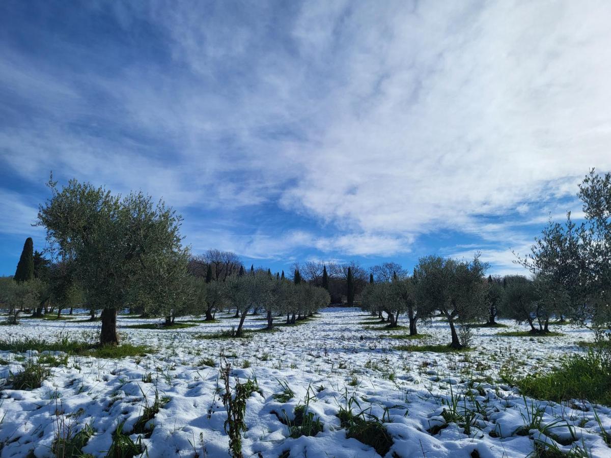 Dimora In San Quirico D'Orcia Apartment Екстериор снимка